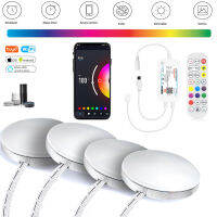 Tuya Wifi + IR Remote Control Under Cabinet LED Light CCT Warm+White Double Color Temperature Or RGB for Kitchen Closet Lighting