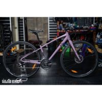 Liv Alight 2 DD Disc 2022 (Purple Ash)