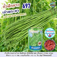 เมล็ดถั่วฝักยาว เจ้าพระยา697 ขนาด500กรัม เมล็ดพันธุ์ถั่วฝักยาว ตราดอกแตง