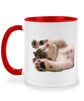 แก้วสกรีน แมว นอน ลูกแมว Adorable Cat Sleeping แก้วมินิมอล แก้วมัค twotone coffee mug