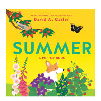 Pop up three-dimensional book summer English original childrens book three-dimensional picture book David Carter