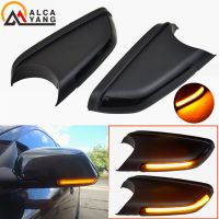 Side Mirror Blinker Indicator Sequential Lamp For Volkswagen VW Polo mk4 FL 2005-2009 Vento 2005-2010 Skoda Octavia 2004-2010