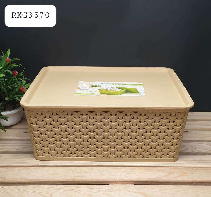 Plastic Woven Basket with Lid (RXG3570) Lazada PH