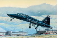 พลาสติก โมเดล ประกอบ TRUMPETER สเกล1/48 US T-38A Talon