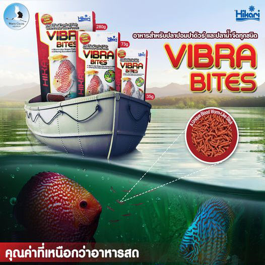 hikari-tropical-vibra-bites-อาหารปลาปอมปาดัวร์-เทวดา-หมอแคระ-อาหารปลากินเนื้อ-เม็ดแท่งรูปหนอน-ชนิดเม็ดจมช้า