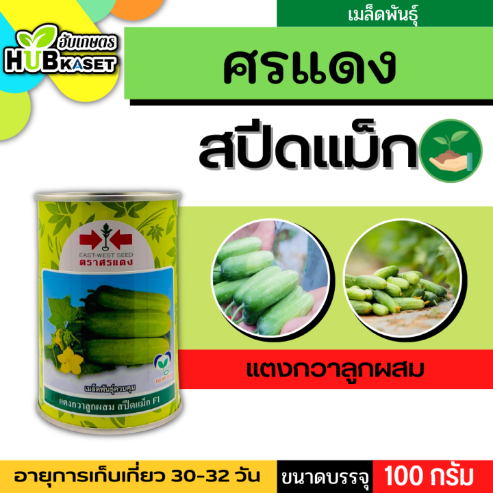 ศรแดง 🇹🇭 แตงกวาลูกผสม สปีดแม็ก F1 ขนาดบรรจุ 100 กรัม อายุเก็บเกี่ยว 30-32 วัน