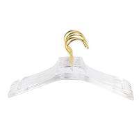 5 Pcs Clear Acrylic Clothes Hanger with , Transparent Shirts Dress Hanger with Notches for Lady Kids