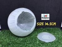 Hamster Ball (Glow in the dark) ลูกบอลหนูแฮมสเตอร์และสัตว์ขนาดเล็ก