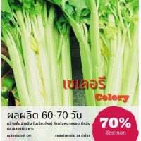 เมล็ดคื่นฉ่ายยักษ์ เมล็ดเซเลอรี่ คื่นฉ่ายฝรั่ง(ซื้อ 10 แถม 1 คละอย่างได้)