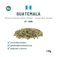 สารกาแฟ กัวเตมาลา ซูดาน รูเม่ ดิเวอร์ซ่า เอสเตส Guatemala Coffea Diversa Estate Rume Sudan – Anaerobic Honey (GT2205) ขนาดบรรจุ 1 Kg. BEAN Online shop