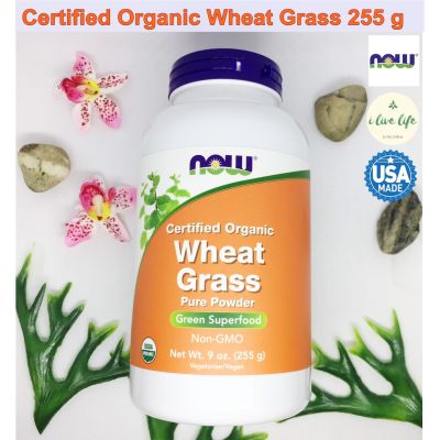 ผงบริสุทธิ์ต้นอ่อนข้าวสาลี Pure Powder Certified Organic Wheat Grass 255g - Now Foods ผงวีทกราสออร์แกนิค ที่ผ่านการรับรอง Green Superfood