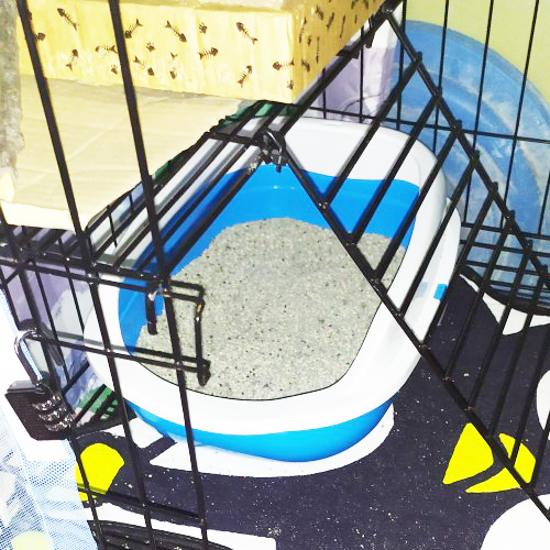 sariya-กระบะทรายแมว-tb50-กระบะทราย-ฟรี-ที่ตักทราย-ห้องน้ำแมว-cat-litter-box