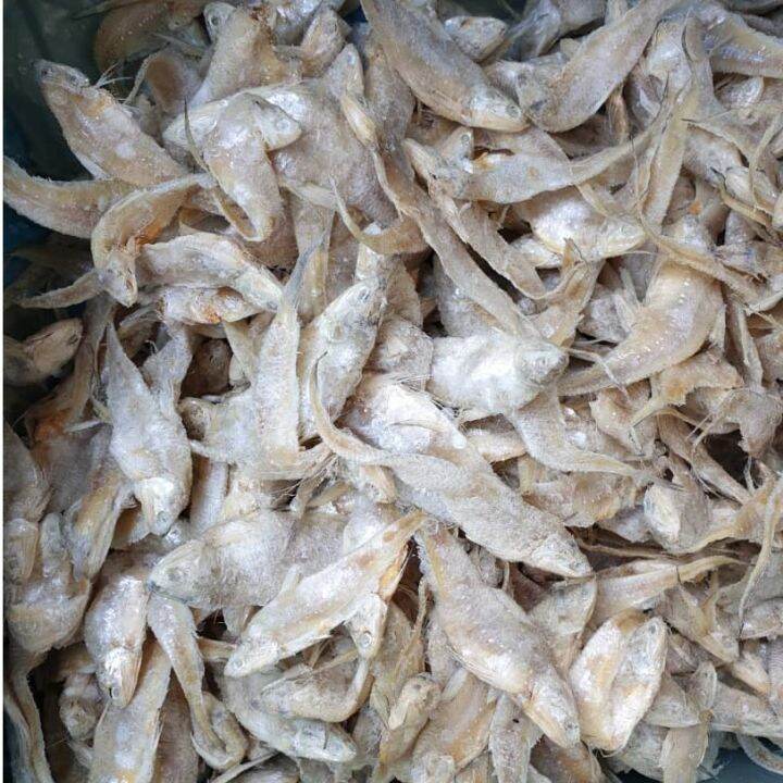 Ikan Bulu Ayam Masin 300gm - Hasil Laut Jamilah | Lazada