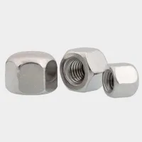 304 Stainless Steel Dwarf Cap Nut Decorative Nut Cap M3 M4 M5 M6 M8 M10 M12 M16 M20