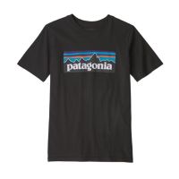 Patagonia เสื้อยืด Patagonia.