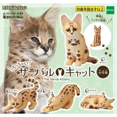 Gashape Mainan Kebun Binatang Besar Afrika Kucing Serval Model Meja Koleksi Dekorasi Hadiah Anak-anak