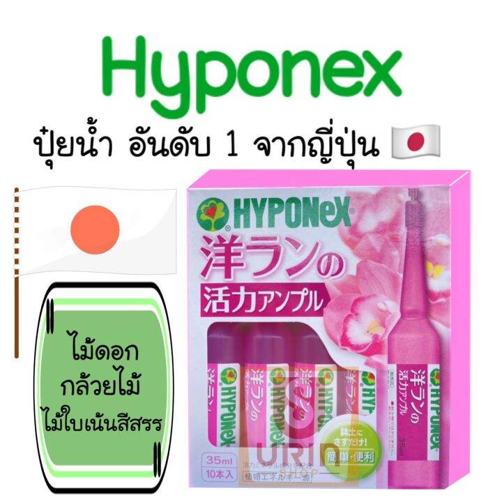 ปุ๋ยปัก-hyponex-ampoule-yorkey-ปุ๋ยปักญี่ปุ่น-ปุ๋ยน้ำ-ปุ๋ย-แอมเพิล-ปุ๋ยน้ำปักดิน