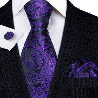 70Pcs Fashion Luxury Purple Paisley 100 Silk Tie Gifts For Men Suit Wedding Tie Barry.Wang NeckTies Hanky Set Business LN 5706