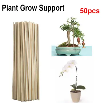 Bamboo Plant Support Garden Bamboo Flower Sticks - China Bamboo Stick for  Flower and Bamboo Stick for Plant price