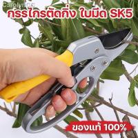 ?สินค้าขายดี? [กรรไกร]ของพร้อมส่งกรรไกรตัดกิ่งไม้ ตัดแต่ง กรรไกรตัดกิ่ง TREE BRANCH SCISSORS CUTTER ตัดกิ่งไม้ ดอกไม้ GARDEN GARDENING TOOL กร