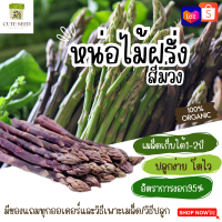 เมล็ดพันธุ์หน่อไม้ฝรั่งสีม่วง จำนวน 5 เมล็ด อัตราการงอก95% ปลูกง่าย โตไว(มีของแถมเป็นเมล็ดผักกวางตุ้งทุกออเดอร์)