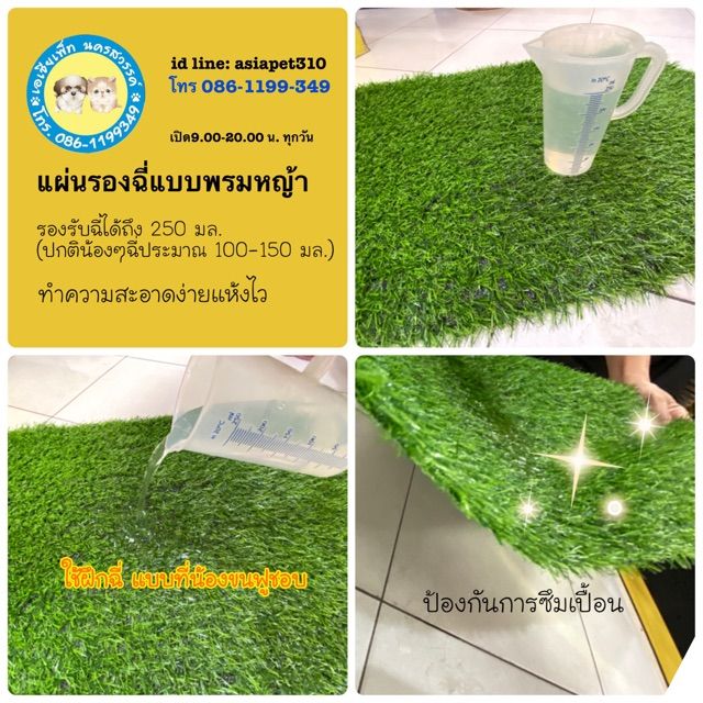 โปรพิเศษ-แผ่นฝึกฉี่-พรมหญ้าเทียมสัตว์เลี้ยง-ขนาดเล็ก-40x60-cm-ราคาถูก-หญ้า-หญ้าเทียม-หญ้าเทียมปูพื้น-หญ้ารูซี-หญ้าแต่งสวน-แต่งพื้น-cafe-แต่งร้าน-สวย-ถ่ายรุป