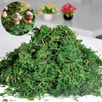 100g Artificial Grass Moss Landscape Accessories Fake Green Plants Artificial Plant Lichen Artificial Moss Spine Supporters