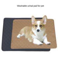 {pets baby} ForPet Dog Washable Diaper Pad Supplies ผ้าอ้อม Reusable Training Mat