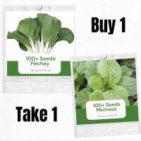 Buy 1 Pechay Seeds Take 1 Mustasa Seeds Vegetable Binhi pantanim KLLXเมล็ดพันธุ์ WEWH [ไม่ใช่พืช! เป็นเมล็ดพันธุ์] [คลังสินค้าจุด][ขายตรงจากโรงงาน][ของแท้อย่างเป็นทางการ][โปรโมชั่นลดราคา][50 เมล็ดพันธุ์][เมล็ดผลไม้][เมล็ดพันธุ์ผัก][อร่อยจัง][ปลอดภัย][คลัง