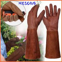 HESONG หลอดยาวสำหรับหลอด ถุงมือทำสวนสำหรับเด็ก เครื่องหนังแท้ กาแฟและกาแฟ ถุงมือทำสวนสำหรับทำสวน เครื่องมือเครื่องมือช่าง ป้องกันหนาม ถุงมือตัดแต่งกิ่ง สวนในสวน