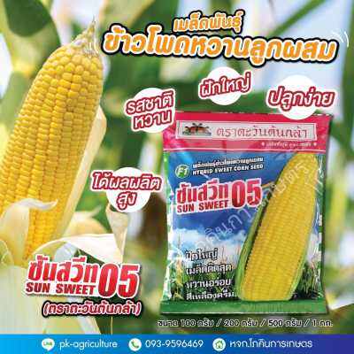 เมล็ดพันธุ์ข้าวโพดหวานลูกผสม ซันสวีท 05 (ตราตะวันต้นกล้า)