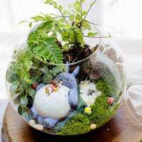 【✆New✆】 yi6067 Totoro Terrarium วัสดุอุปกรณ์เสริม Ghibli Studio นางฟ้าสวนขนาดเล็กเด็กผู้หญิงนอนอยู่ในเครื่องประดับ Diy โตโตโตโร