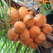 HCM Combo 2 trái Dừa Xiêm đỏ - Nhất Tín Food