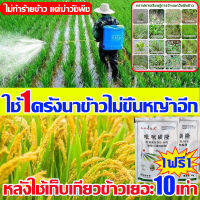 ?ไม่ทำร้ายข้างสสีจริงๆ ฆ่าแค่วัชพืช? ยาฆ่าหญ้าในนาข้าว10g ซื้อ1แถม1ยาฆ่าหญ้าในนา กำจัดวัชพืชในนาข้าวได้ 99% ให้การเก็บเกี่ยวข้าวเพิ่มขึ้น10เท่า ประหยัดข้าวจากวัชพืช คุมฆ่าในนาข้าว ใช้1ครั้งไม่มีวัชพืชขึ้นหลัง ยาคุมหญ้าข้าวสารกำจัดวัชพืชในนาข้าว