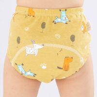 【CC】 Baby Diapers Reusable Nappies Diaper Nappy Washable Toddler Boy Cotton Training Pant Accessories