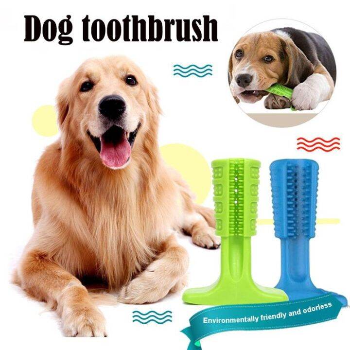 Dog Toothbrush Pet Brushing Stick Teeth Cleaning Chew Toy For Dogs Pet