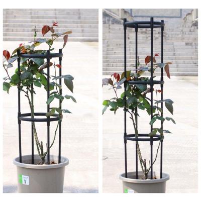 Plant Display cket Garden Plant ดอกไม้ Vine Rack Wrought Iron ดอกไม้ Stand Climbing Planter Trellis ปีนเขา Vine Rack