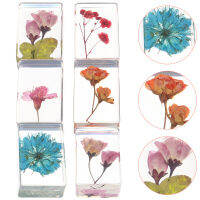 FICUESTORE【New】 6PCS เรซิ่นแอมเบอร์ตัวอย่างเรซิ่นสีเหลืองอำพันสำหรับคอลเลกชันการศึกษา (สไตล์การสุ่ม)