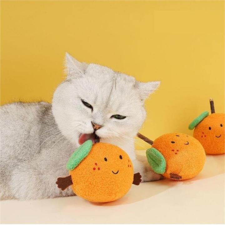 ของเล่นแมวแสนตลกส้มของเล่นแคทนต่อการกัดแมวของเล่นแมวแท่งของเล่นแมวแคทนของเล่นแมวตลก