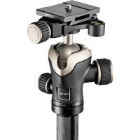 ขาตั้งกล้อง 3 ขา Gitzo GT100T 100-Year Anniversary Edition Tripod with Ball Head by FOTOFILE