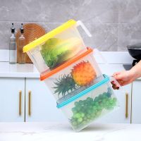 [COD] Refrigerator storage box food-grade fresh-keeping kitchen vegetable and fruit with handle to organize egg dumpling