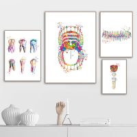 Doctor Office Picture Clinic Decor ทันตกรรมผ้าใบโปสเตอร์-เหมาะสำหรับทันตแพทย์และ Oral Art Lovers-ฟัน Anatomy Wall Art พิมพ์โปสเตอร์