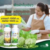 สารจับใบ เอฟอช 1ลิตร+ปุ๋ยน้ำ แกรมม่าทู 1ลิตร สูตรเร่งการเจริญเติบโต ต้นแข็งแรง ใบเขียวเข้ม แตกยอดอ่อนดี รากเยอะกอใหญ่ แข็งแรง