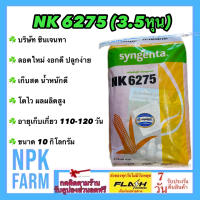 ข้าวโพดเลี้ยงสัตว์ เอ็นเค NK 6275 เบอร์2 (3.5 หุน) ขนาด 10 กิโลกรัม ซินเจนทา หมดอายุ 08-2567 เมล็ดกลมกลาง ลอตใหม่ งอกดี เก็บสด ฝักใหญ่ ผลผลิตสูงมาก