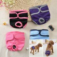 【CW】 Dog Panties Retriever Physiological Pants With Walking Anti-harassmen Solit