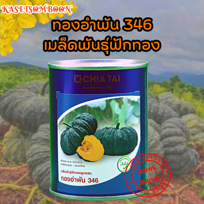 ทองอำพัน 346 เมล็ดพันธุ์ฟักทอง ตราเจียไต๋ 100 ก