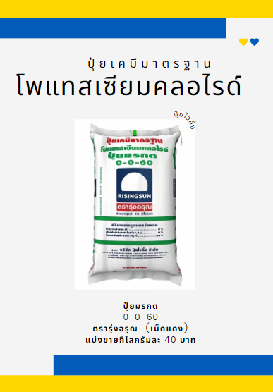 ปุ๋ย-0-0-60-ตรารุ่งอรุณ-เม็ดแดง-บรรจุ-1-กิโลกรัม