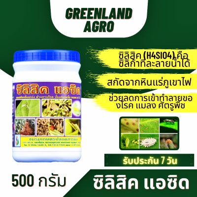 THAIGREENAGRO SILISIC ซิลิสิค แร่ธาตุซิลิก้าที่สกัดจากหินแร่ภูเขาไฟ ช่วยเพิ่มความแข็งแกร่งให้แก่ผนังเซลล์ ปุ๋ยบำรุงดิน