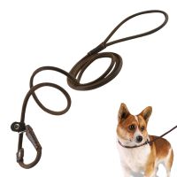 Slip Lead Control Leash for Dogs No Pull Lightweight Genuine Leather Dog Leash Pet Slip Leash Rope Leash for Small Medium Animal