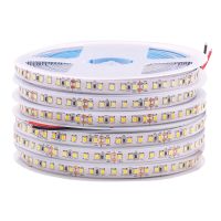 12V 24V 2835 LED Strip 5m 10m 15m 20m Tape Light Ribbon 60/120/240/480 LED Natural White / Warm White / Cold White Home Decor LED Strip Lighting